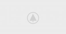 wood-gallery-placeholder-5 wood-gallery-placeholder-5